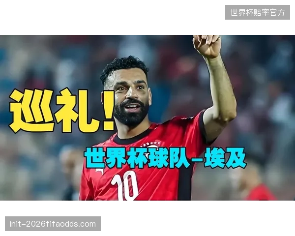 若与埃及同组，伊朗队将面临与萨拉赫领衔球队的直接对话，两队中场绞杀或成比赛胜负手。